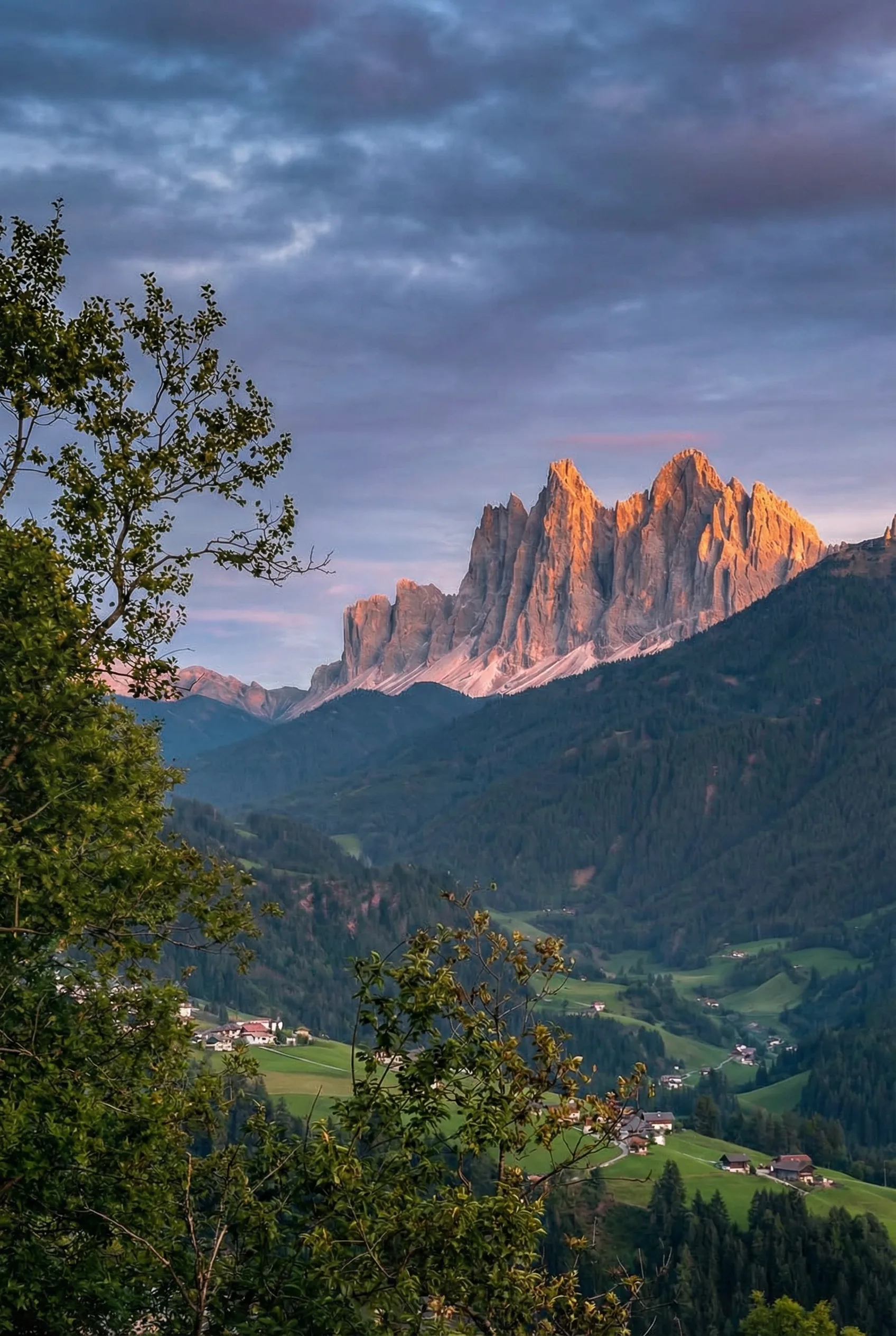 Südtiroler Weinberge im Herbstlicht mit Blick auf die Dolomiten